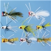 Betts 8-Piece Bass Popper Assortment